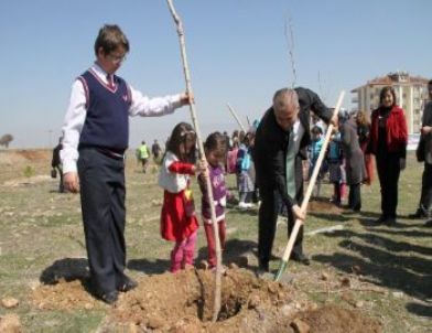 Denizli Belediyesi Çocuklarla 100 Bin Fidan Dikecek