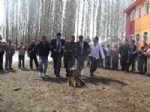 Gemerek'te Nevruz Coşkusu
