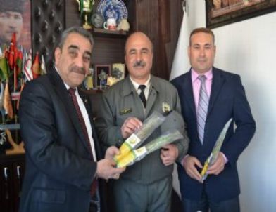 Kale'de Ağaç Seferberliği