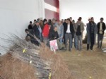 Yozgat’ta Meyvecilik Geliştiriliyor