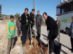 '75 Bin Adet Ağaç Dikme Kampanyası' Devam Ediyor
