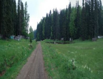 Düzce Üniversitesi'nden Ekoturizm Projesi