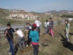 İlköğretim Öğrencileri Fidan Dikti
