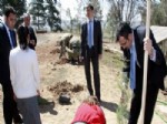 SELÇUK YıLMAZ - Silvan'da Nevruz Fidanı Dikildi