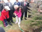 CEZMI BATUK - Trabzon’da Dünya Ormancılık Günü ve Haftası Etkinlikleri