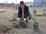 Yerköy’de Adiye Sarayı Çevresi Yeşillendiriliyor