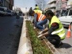 Erzincan Belediyesi Çiçek Dikimine Başladı