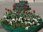 HERCAI - Gaziantep'te 1 Milyon 655 Bin Çiçek Açacak
