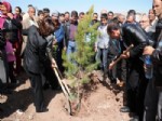 NEVROZ - Toplu Konut Bölgesinde Bin Fidan Dikildi