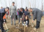 19 Mayıs İlçesinde 150 Engelli Öğrenci İçin 150 Fidan Dikildi