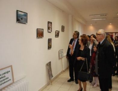 TEMA’ya Öğrencilerden Fotoğraflı Destek