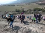 Zümrüt Hanımlar Derneği'nden 'Yeşil Karabük Projesi'