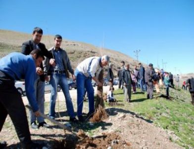 Belediye Personeli 3 Bin Ağaç Dikti