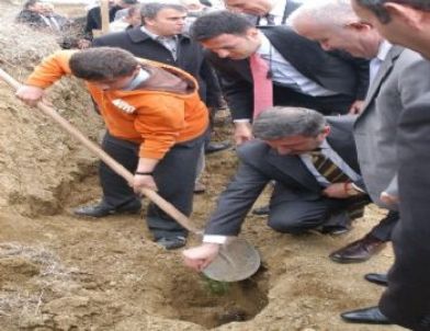 20 Bin Fidan Toprakla Buluşacak