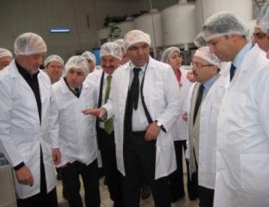 Akhisar Kaymakamı Köten, Gıda Üretim Yerlerini Gezdi