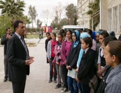 Birecik Kaymakamlığı'ndan Öğrencilere Sınav Öncesi Gezi Sürprizi