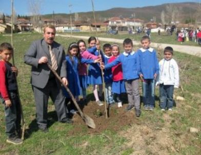 Yenişehir Kavaklı Köyü, Öğrenci ve Vatandaşların İşbirliği İle Ağaçlandırıldı