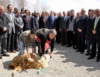 Bbp Lideri Destici Suşehri'nde