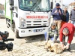 HASAN YAMAN - Nebioğlu Belediyesi’ne Çöp Kamyonu Alındı