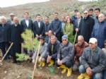 CAFER YıLMAZ - Özel İdare Hatıra Ormanı'na 100 Bin Ağaç Dikildi