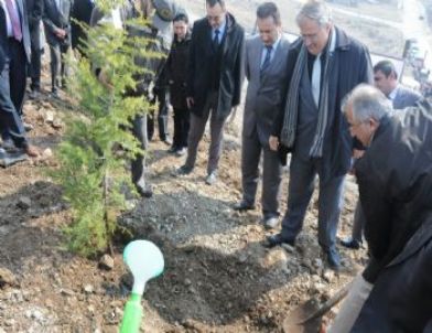 Tavşanlı'da Polis Hatıra Ormanı