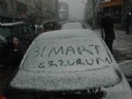 Erzurum'da Baharda Lapa Lapa Kar