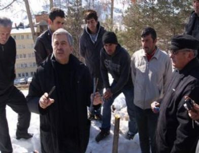 Şebinkarahisar Cevizi Aşısı İçin Eğitim Verildi