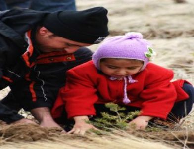 Selçuklu Belediyesi 5 Bin Fidanı Toprakla Buluşturdu