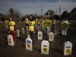 AYASOFYA MÜZESI - Greenpeace'ten Türkiye Dahil 20 Ülkede Nükleer Karşıtı Eylem!