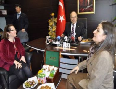 MHP Eskişehir Milletvekili Ruhsar Demirel Kayseri'de