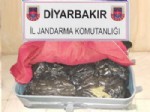 Diyarbakır'da 13 Kilo Esrar Ele Geçirildi