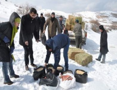 Yaban Hayvanlarını Korumaya Yönelik Yemleme Çalışmaları Devam Ediyor