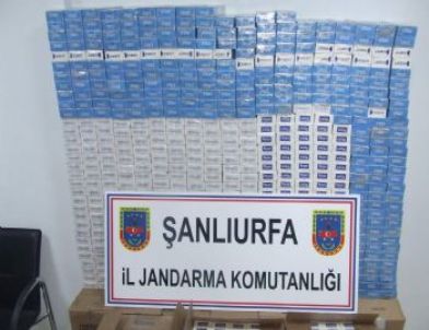 Jandarmadan Kaçakçılık Operasyonu