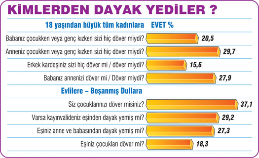 42 il, 126 ilçe, 3 bin 252 Kadın Ve En Acı Tablo