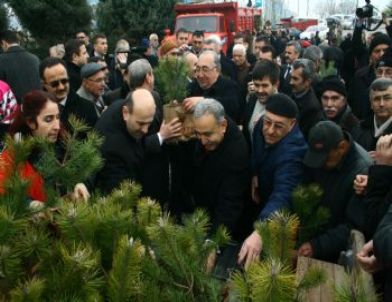 Karaman’da 5 Bin Fidan Dağıtıldı