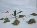 SAĞLAMTAŞ - Köylülerin Kış Çilesi Sürüyor