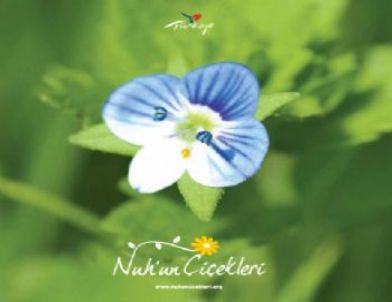 'nuh'un Çiçekleri' Kitaplaştırıldı