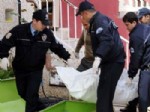 Tatlıses'in akrabası evinde ölü bulundu