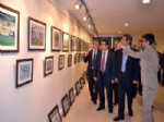 AB Bakan Yardımcısı Yaşar, Orduspor Fotoğraf Sergisini Gezdi