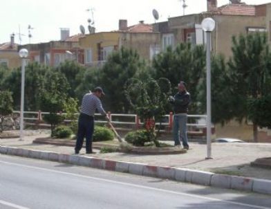 Sultanhisar'da Bahar Temizliği ve Fidan Dikimleri Başladı