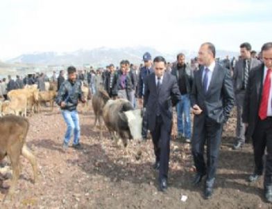 60 Yıllık Çile Bitti