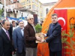 Kastamonu’da 'Ücretsiz Fidan' İzdihamı
