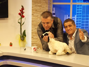 Aydın Aydın’da Kuzuları ile  Eurovision da temsil etmek istiyor