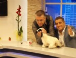 BEYAZ MANŞET - Aydın Aydın’da Kuzuları ile  Eurovision da temsil etmek istiyor