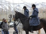Erzurum’da Atlı Polisler, Göreve Başladı