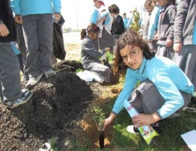 Samanyolu Koleji Öğrencileri, Okul Bahçesine Fidan Dikti