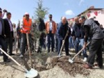FETHI YAŞAR - Yenimahalle'de Van Depreminde Şehit Olan Öğretmenlerin Anısına Fidan Dikildi