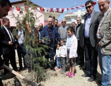 Yenimahalle’de Van Şehitlerine Hatıra Ormanı