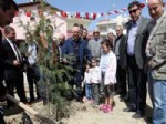 FETHI YAŞAR - Yenimahalle’de Van Şehitlerine Hatıra Ormanı