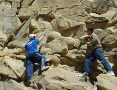 Çeçenistan’da Dinozor Yumurtası Fosilleri Bulundu